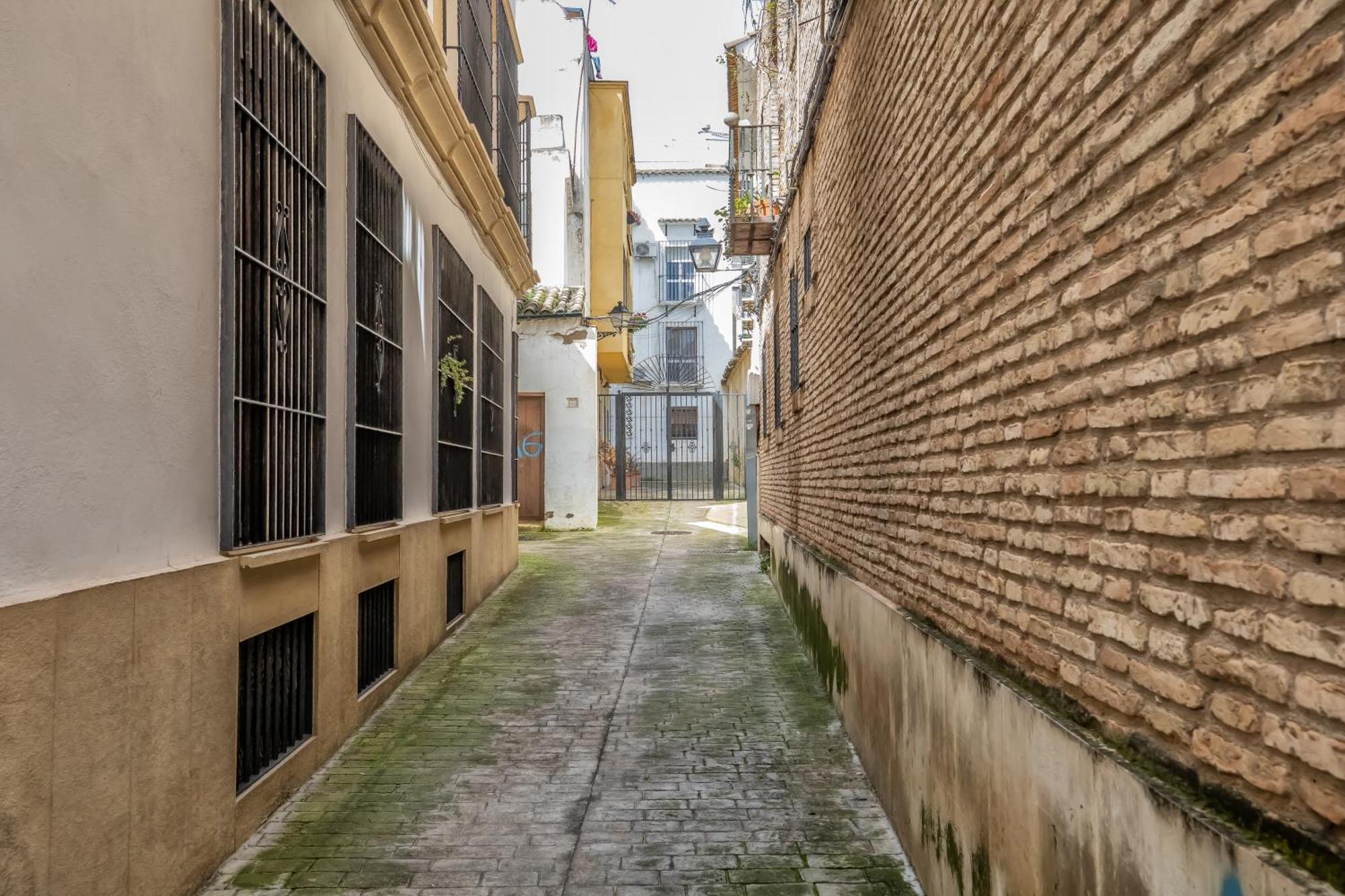 Apartment Andalusi & Centre & Parking Incluido Cordoba
